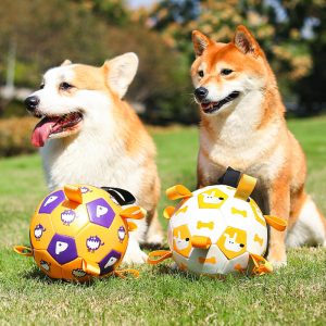 Hundespielzeug Hundeball, Kauspielzeug, langlebig aufblasbarer Ball, für die Interaktion im Innen und Außenbereich