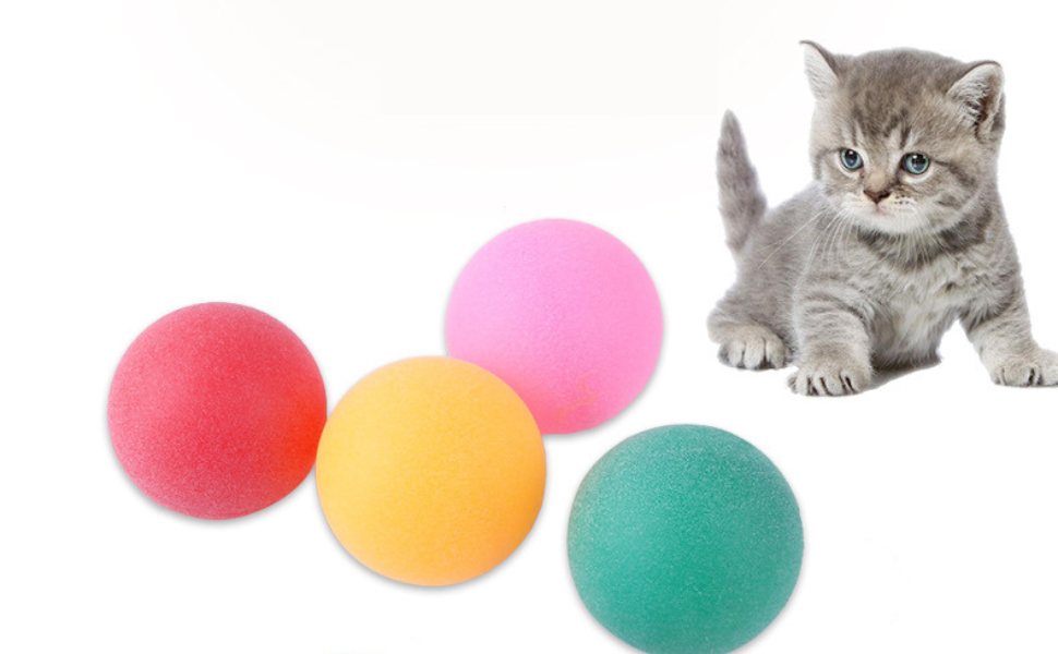 Wie lange schlafen Katzen - Pawsometime