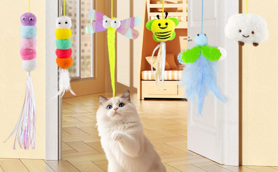 Wie hoch können Katzen springen - Pawsometime