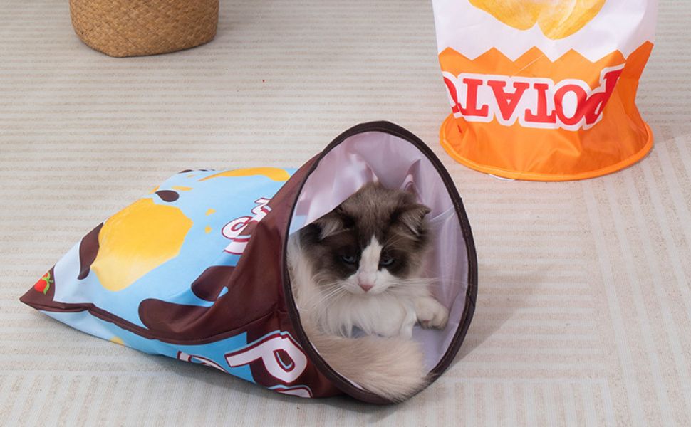 Was braucht eine Katze - Pawsometime