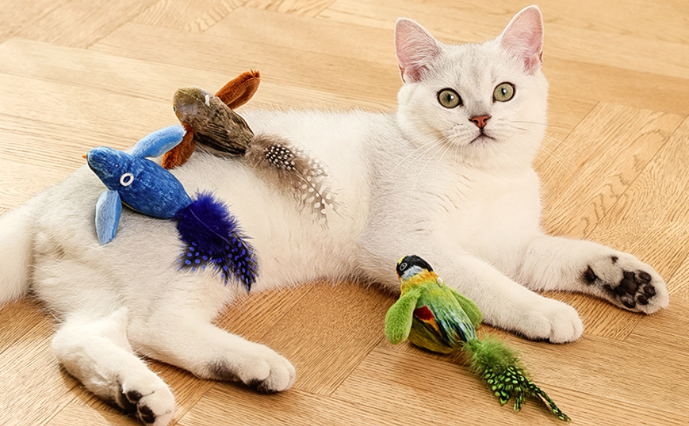 Warum schnurren Katzen - pawsometime