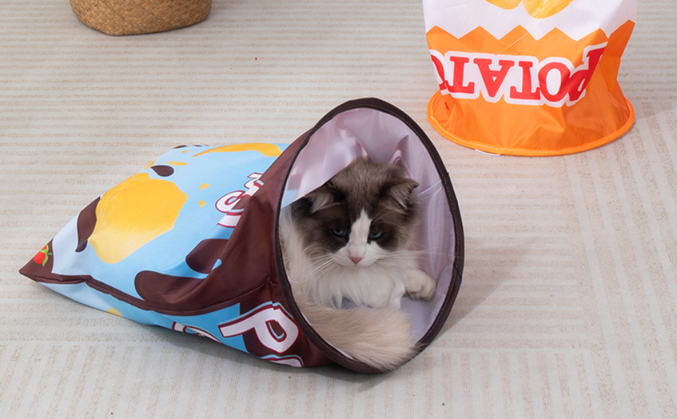 Wie lange kann eine Katze alleine bleiben - pawsometime