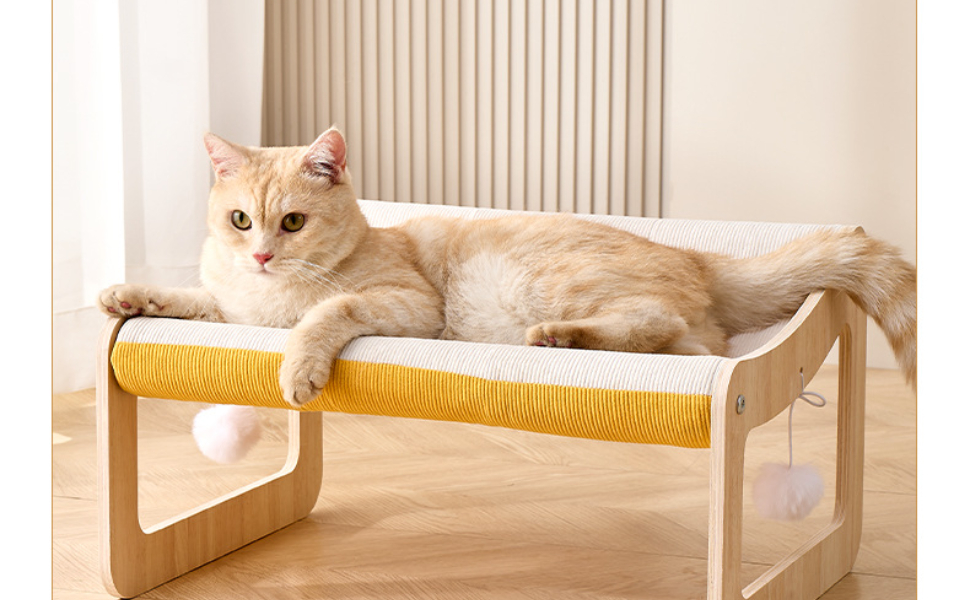 was brauche ich für eine Katze - pawsometime