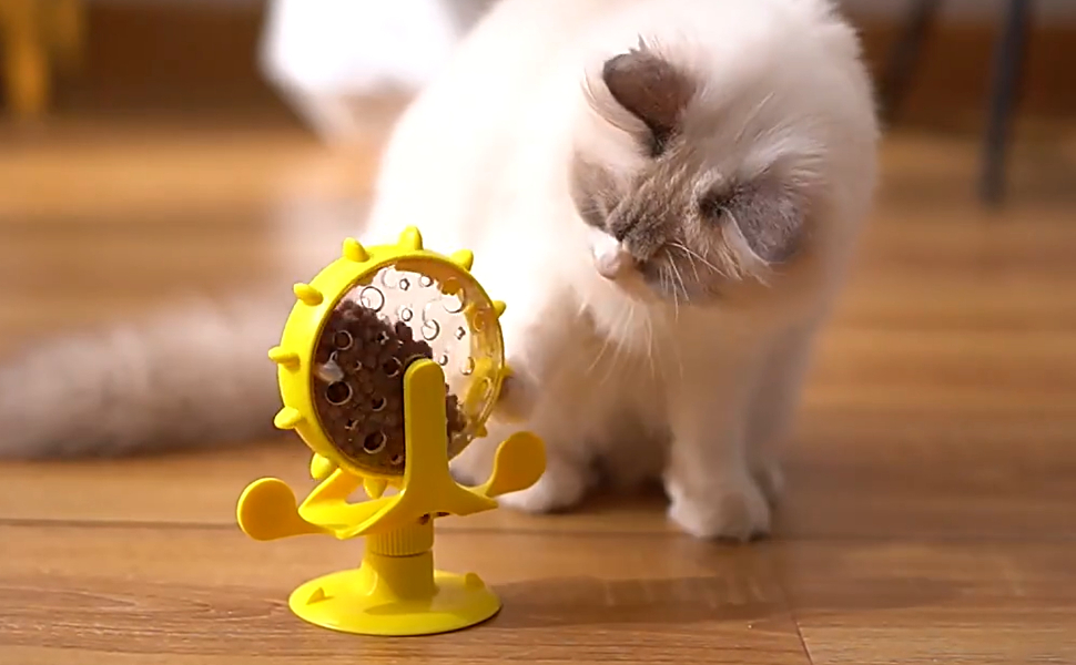 Wann katzen füttern uhrzeit - Pawsometime