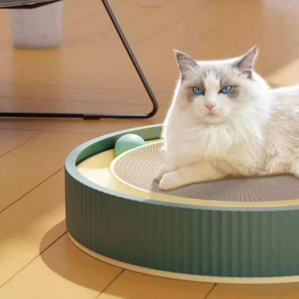 Katzen Kratzpappe, Runde Kratzplatte Mit Interaktives Katzen Spielzeug, Durchmesser 45 cm, Verfügbar in Grün, Weiß und Blau – Bild 2