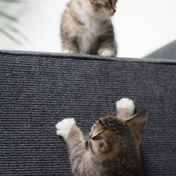 Kratzteppich Katze, Langlebiger und strapazierfähiger Kratzwand Katze, einfach zuschneidbar, Grau – Bild 2