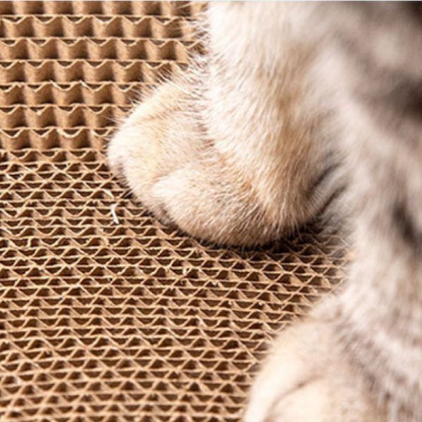 Katzen Kratzbrett Pappe, Kätzchen-Schlafnest, Rund und Oval, Katzenspielzeug aus Wellpappe, hellem Grün – Bild 4