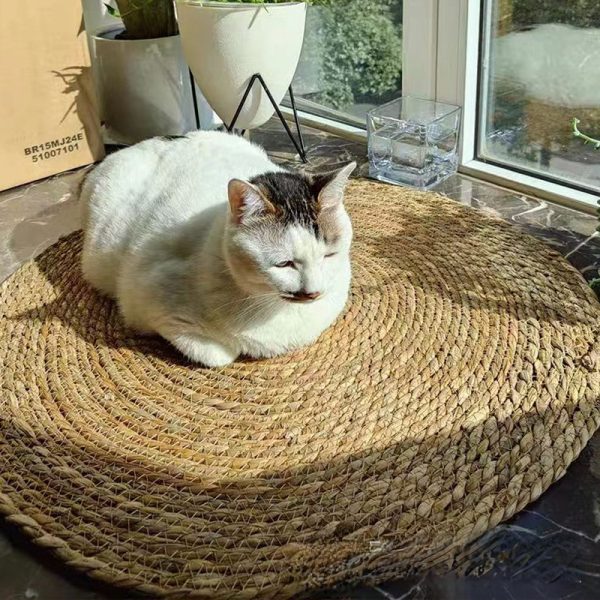 Kratzbrett für Katzen, Katzenbett Rattan Katzenschlafmatte, Krallenschleifen Verschleißfest, Vier Größen – Bild 3