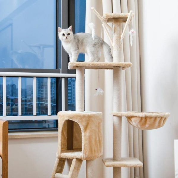 Katzenbaum More Cats, Stabiler Katzenbaum mit Bequemer Rückzugsort und Spielplatz, vielen Funktionen, HellGelb – Bild 5