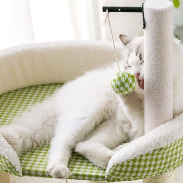 Katzen Baum, Kleine Katzenbaum, Kletterbaum mit Spielball, Hanfseil Kratzbaum, Stabil und Robust, in Hellgrün – Bild 4
