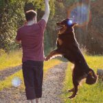 Warum rammelt mein Hund mich?