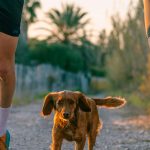 Mit dem Hund joggen?
