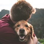 Wie alt können hunde werden: Der Einfluss von Hundespielen auf ihre Lebenserwartung