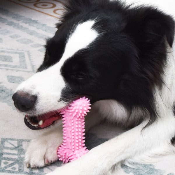 Hund Zahnpflege Spielzeug, Dental-Kaustäbchen, Interaktives Spielzeug in Knochenform mit Fütterungsöffnung – Bild 2
