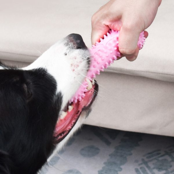 Hund Zahnpflege Spielzeug, Dental-Kaustäbchen, Interaktives Spielzeug in Knochenform mit Fütterungsöffnung – Bild 3