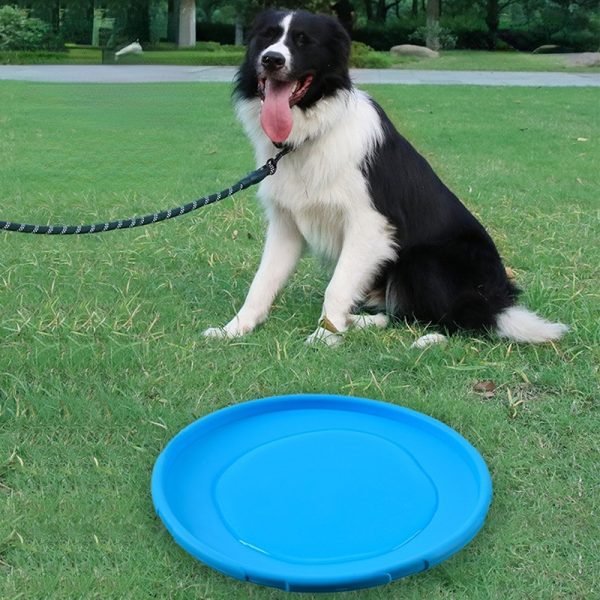 Spielzeug für den Hund, Hundefrisbee für Wasserspielzeug Hund, Hunde zur Förderung der Apportierfähigkeiten, Drei Farben – Bild 5