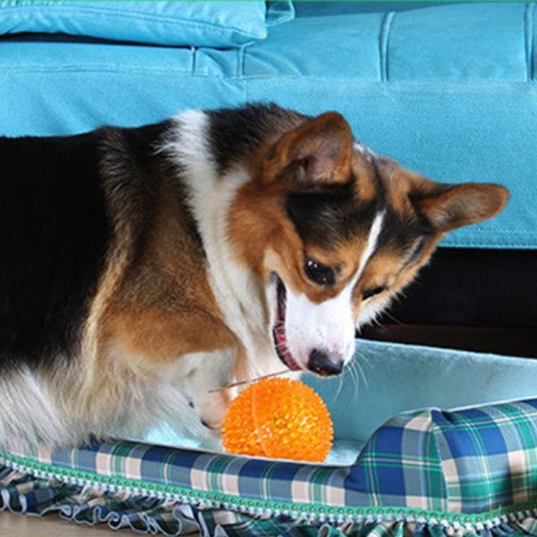Hundespielzeug, Bunte Spielbälle für aktive Hunde, 3-teiliges Set aus blauen, grünen und orangefarbenen, geräuschmachenden Spielbällen – Bild 3
