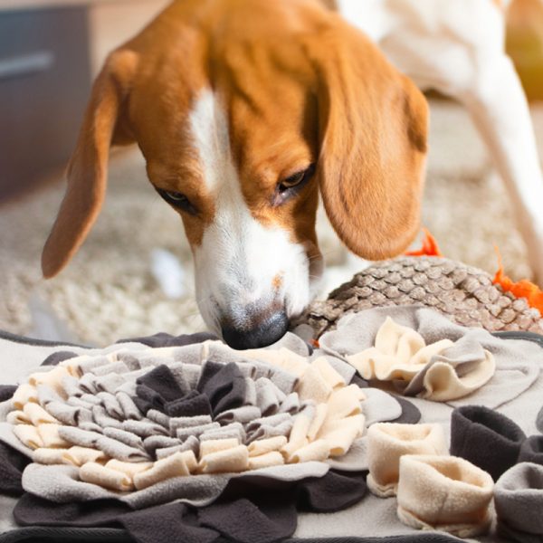 Hunde Spielzeug, Schnüffeldecke für Hunde,Knochenform kann Nahrung verbergen zur Förderung körperlichen Aktivität – Bild 2