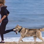 Wie oft müssen Hunde raus: Die Bedeutung von Bewegung für die Gesundheit