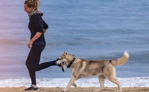 laufender Hund - Pawsometime