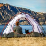 Mit Hund campen: Tipps für den perfekten Campingurlaub