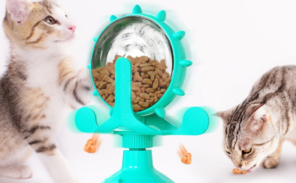 Was dürfen Katzen nicht essen - Pawsometim
