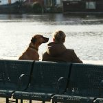 Welche Farben sehen Hunde bei der Interaktion mit Menschen?