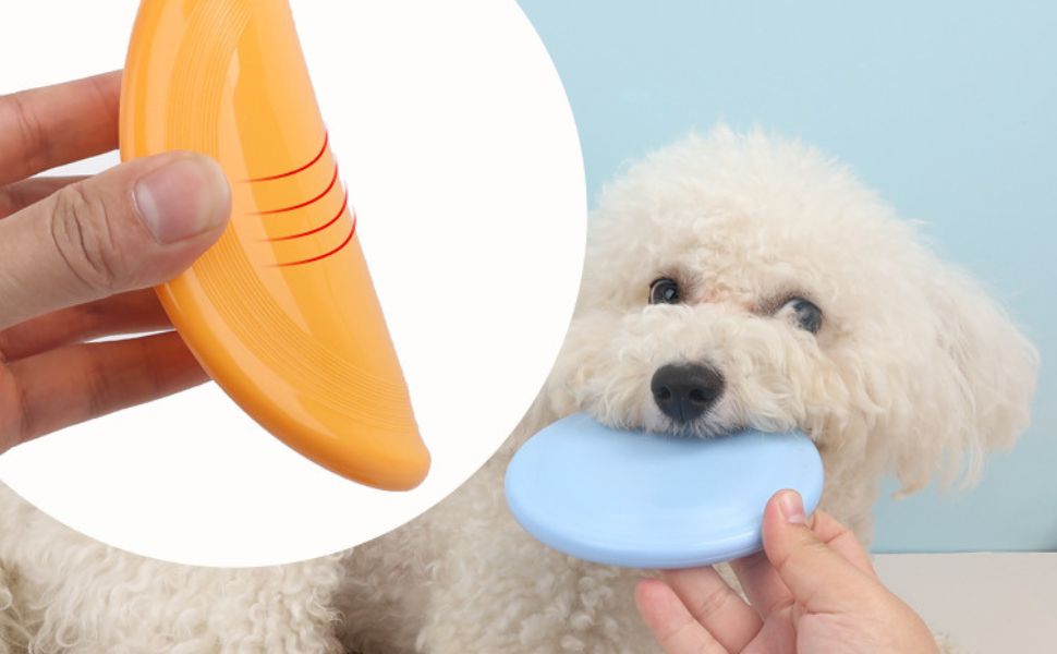 Welche Farben sehen Hunde - Pawsometime