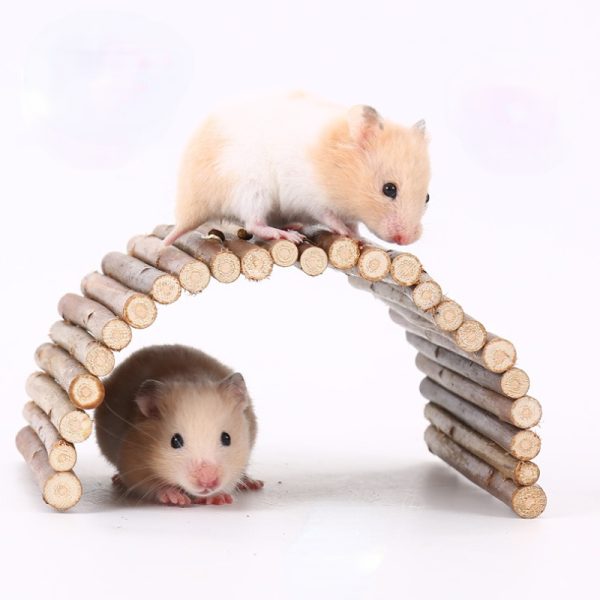 Hamster Spielzeug aus Holz, Bogenbrücke Baumloch Hamsterkäfige, Kreatives & sicheres Möbeldekoration Spielzeug für Nager – Bild 7
