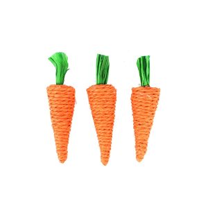 Kaninchen Spielzeug, Handgemachte Karotten aus Papierseil & Strohseil für Verschiedene Größen, Glückliche Spielen (2 Stück)