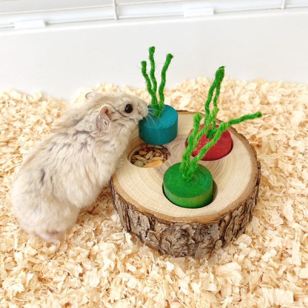 Meerschweinchen Spielzeug, Interaktives Futterspielzeug für Meerschweinchen, Hamster und andere Kleintiere, Zahnpflege und zur Beschäftigung (1 Stück) – Bild 4