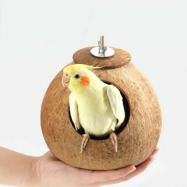Wellensittich Spielzeug, Kokosnuss-Nest mit Leiter, Vogelnest für Papageien, Kletterspielzeug für Vögel – Bild 2