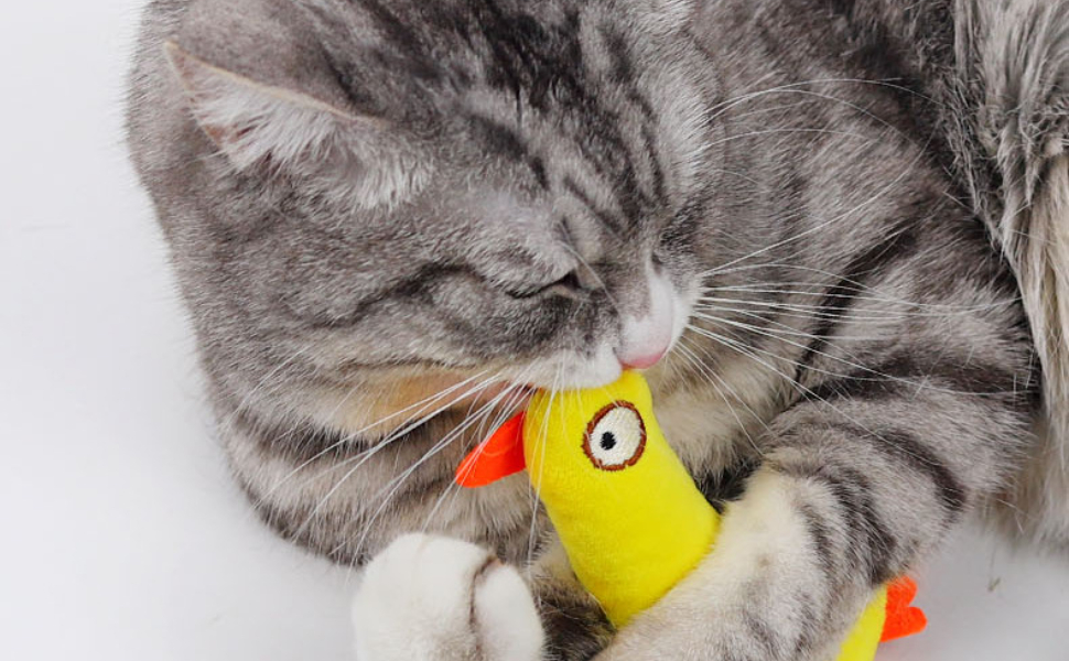 Kuscheltier Katze - Pawsometime