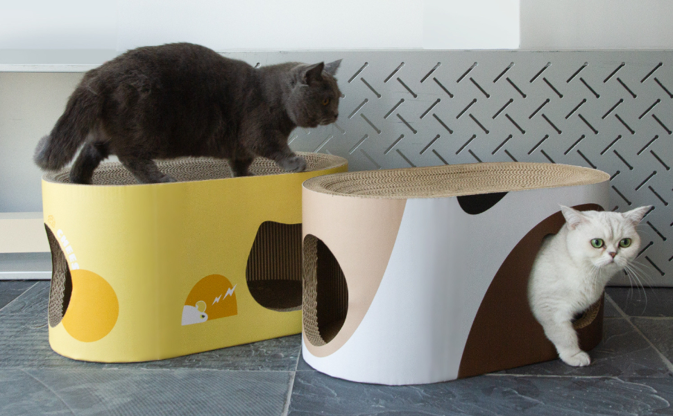 Wie alt sind Katzen in Menschenjahren - Pawsometime