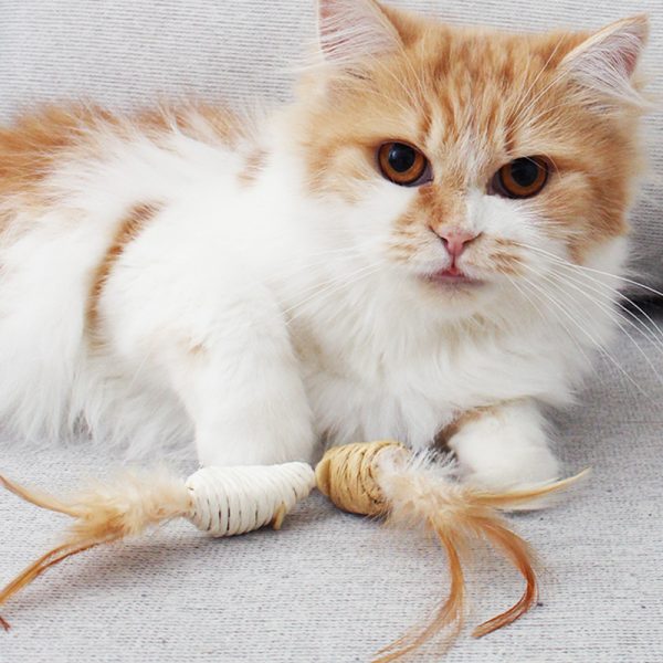 Katzen Spielzeug, Katzenspielzeug Maus mit Glöckchen, aus Papierband und Feder, Verfügbar in Braun und Weiß – Bild 4
