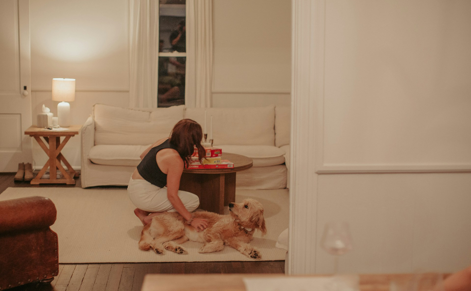 Wie Hunde Ihren Alltag sehen - Pawsometime