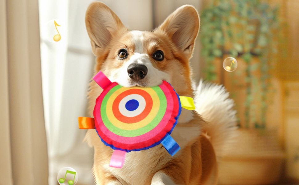 Welches Gemüse dürfen Hunde essen - pawsometime