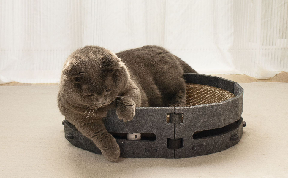 Katzenbett – Pawsometime