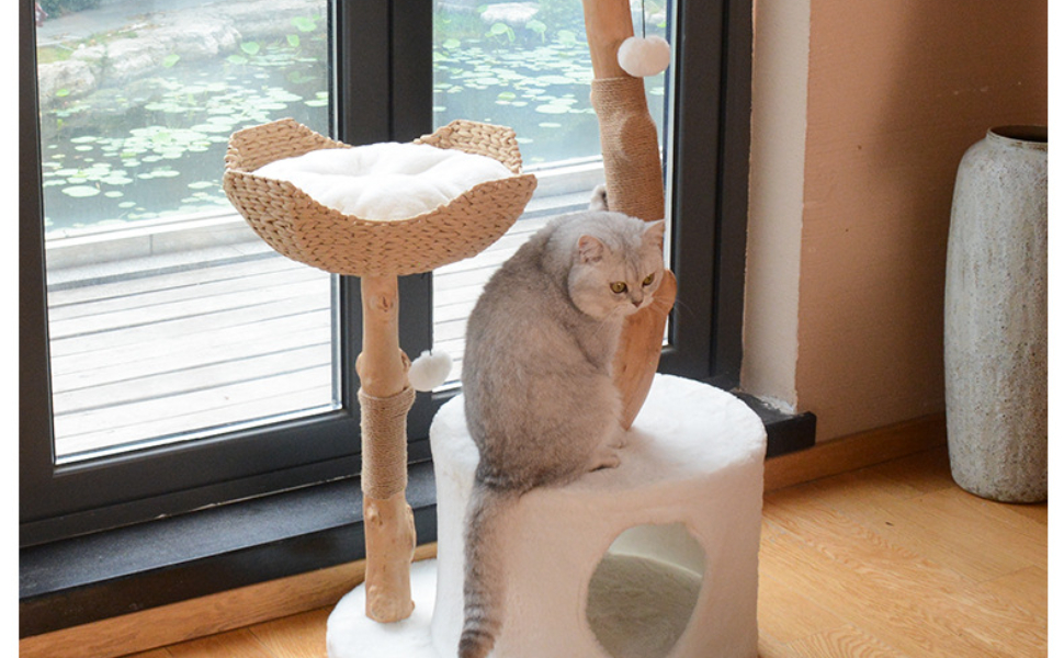 katzenbaum stabil - Pawsometime
