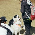 Wenn du mit deinem Hund reisen willst: Die umfassende Packliste und Tipps
