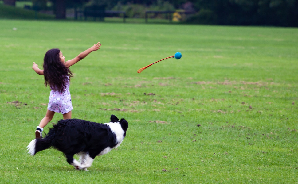 Spielen mit Hunden - Pawsometime