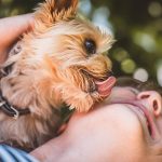 Warum lecken Hunde einen ab – aus Zuneigung oder Hunger?