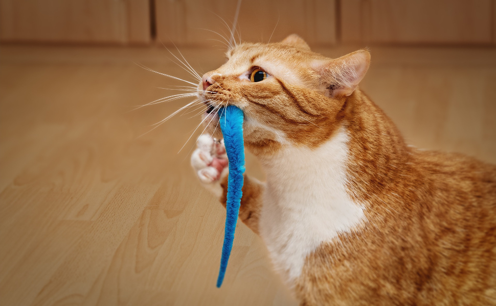 Katze kaut auf einem Spielzeug - Pawsometime