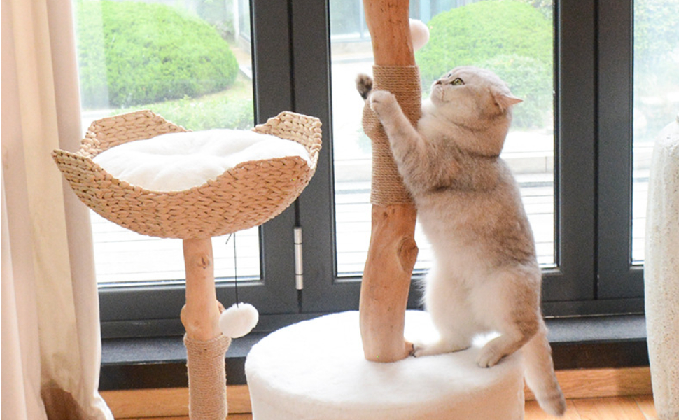katzenbaum stabil - Pawsometime