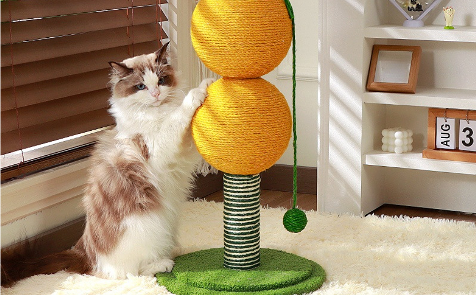 schmaler kratzbaum - Pawsometime