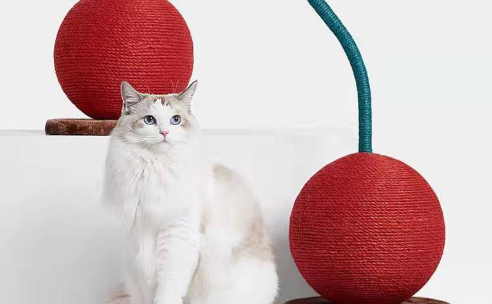 Moderner Kratzbaum - Pawsometime