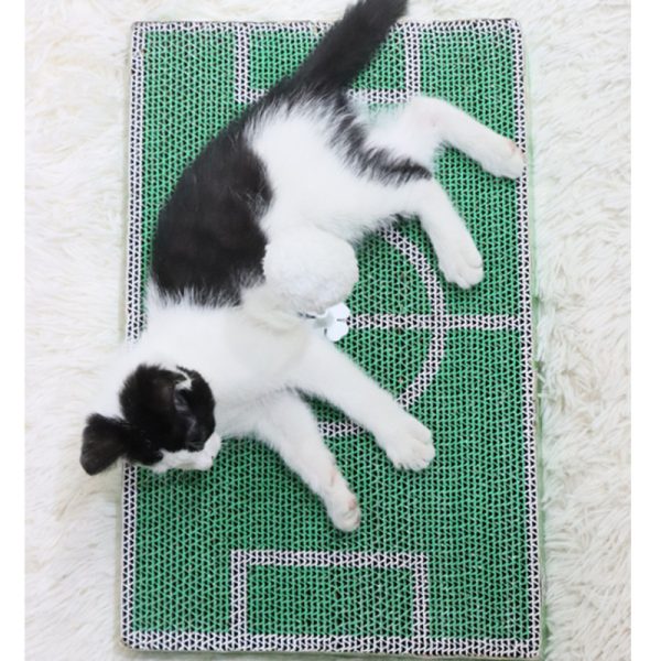 Kratzbrett Katze, Fußballplatz Katzenkratzbrett mit Selbstspielball, langlebig, Umweltfreundlich, für Spiel und Entspannung – Bild 5