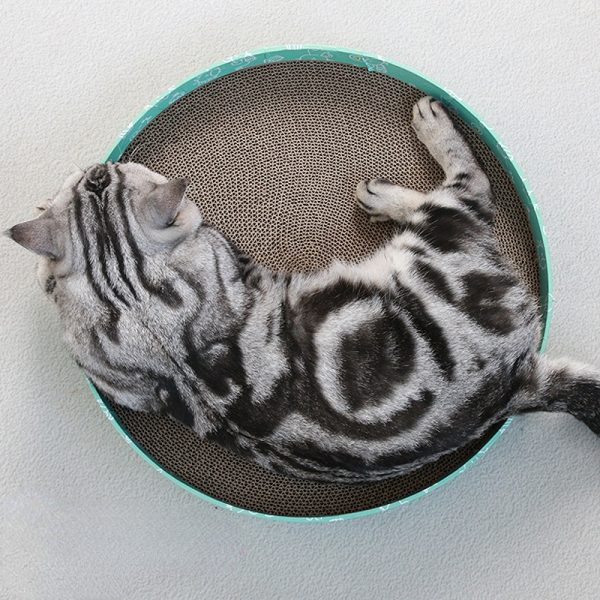 Katzenbett, Wellpappe Kratzbrett, Grüner Cartoon-Muster Rundform, 36 cm Durchmesser,  Kratz- & Ruheplatz für Katzen unter 4 kg – Bild 5