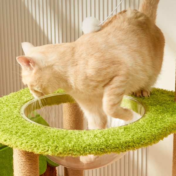 Katzenbaum für große Katzen, Moderner Stil 4-stöckiger Katzenbaum, Katzenbett in Raumkapselform, für Mehrkatzenhaushalte – Bild 5
