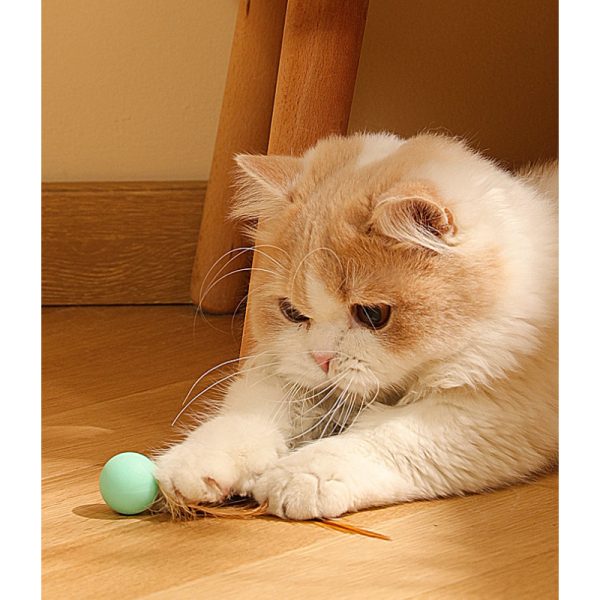 Katzen Spielzeug, Elastischen Katzenball aus Silikon mit Federn, Drei Farben eingestellt, für Spaß und Unterhaltung Ihrer Katze – Bild 6